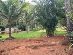 Fazenda / Sítio / Chácara com 6 Quartos à venda, 42000m² no Setor Central, Bonfinópolis - Foto 29