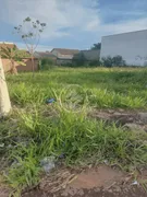 Galpão / Depósito / Armazém com 1 Quarto à venda, 50m² no Jardim Monte Cristo, Aparecida de Goiânia - Foto 7