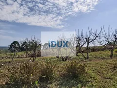 Fazenda / Sítio / Chácara com 1 Quarto à venda, 1000m² no Zona Rural, Bocaiúva do Sul - Foto 54