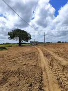Fazenda / Sítio / Chácara com 3 Quartos à venda, 13500m² no Zona Rural, Monte Alegre - Foto 9