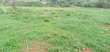 Fazenda / Sítio / Chácara com 3 Quartos à venda, 1340000m² no Area Rural de Ceilandia, Brasília - Foto 40