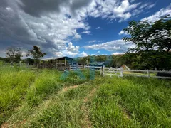Fazenda / Sítio / Chácara com 3 Quartos à venda, 300m² no Zona Rural, São Sebastião do Oeste - Foto 32