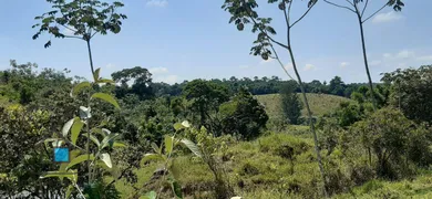 Fazenda / Sítio / Chácara à venda, 96000m² no Maracatú, Guararema - Foto 3