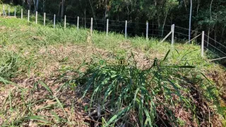 Terreno / Lote / Condomínio à venda, 2142m² no Trindade, Florianópolis - Foto 5