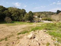 Terreno / Lote Comercial à venda, 10000m² no Vale dos Vinhedos, Bento Gonçalves - Foto 2