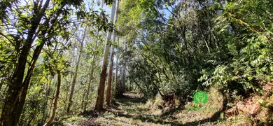 Fazenda / Sítio / Chácara à venda, 75625m² no Zona Rural, Monte Belo do Sul - Foto 6