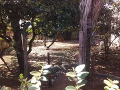 Fazenda / Sítio / Chácara com 5 Quartos à venda, 1200m² no Parque Residencial Cândido Portinari, Ribeirão Preto - Foto 7