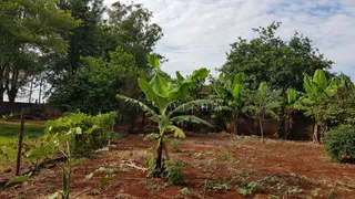 Terreno / Lote / Condomínio à venda, 5000m² no Conjunto Cafezal 1, Londrina - Foto 8