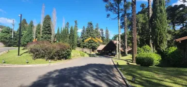 Terreno / Lote / Condomínio à venda, 2358m² no Floresta, Gramado - Foto 25