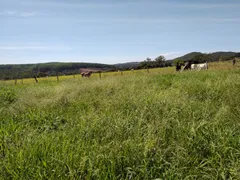 Fazenda / Sítio / Chácara com 3 Quartos à venda, 90m² no Zona Rural, Jaraguá - Foto 14