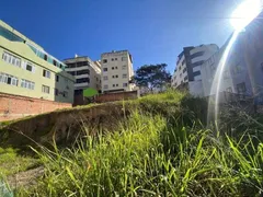 Terreno / Lote / Condomínio à venda, 420m² no Castelo, Belo Horizonte - Foto 2
