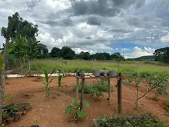 Fazenda / Sítio / Chácara com 6 Quartos à venda, 42000m² no Setor Central, Bonfinópolis - Foto 32