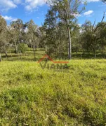 Fazenda / Sítio / Chácara à venda, 1573000m² no Area Rural de Capao Bonito, Capão Bonito - Foto 3