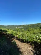 Terreno / Lote / Condomínio à venda, 150000m² no Vale dos Vinhedos, Bento Gonçalves - Foto 28