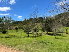 Fazenda / Sítio / Chácara com 2 Quartos à venda, 30000m² no Zona Rural, Campo Alegre - Foto 14