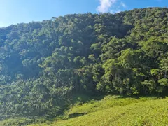 Fazenda / Sítio / Chácara com 3 Quartos à venda, 484000m² no São Francisco Xavier, São José dos Campos - Foto 34