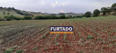 Fazenda / Sítio / Chácara com 2 Quartos à venda, 179000m² no Guaripocaba dos Souzas, Bragança Paulista - Foto 6