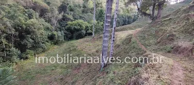 Terreno / Lote / Condomínio à venda, 37000m² no Zona Rural, Virgínia - Foto 24