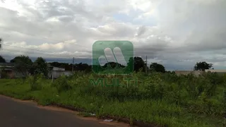 Terreno / Lote / Condomínio com 1 Quarto à venda, 1000m² no Morada Nova, Uberlândia - Foto 1