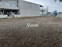 Terreno / Lote Comercial à venda, 560m² no Cidade Nova, Itajaí - Foto 6