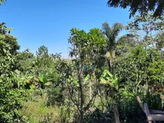 Fazenda / Sítio / Chácara com 2 Quartos à venda, 200m² no Marambaia, Caçapava - Foto 21