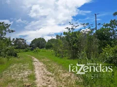 Fazenda / Sítio / Chácara com 10 Quartos à venda, 838m² no Zona Rural, Conceição do Tocantins - Foto 16