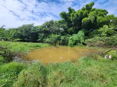 Fazenda / Sítio / Chácara com 3 Quartos à venda, 150m² no Dois Córregos, Valinhos - Foto 7