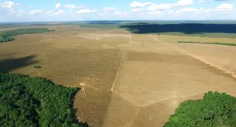 Fazenda / Sítio / Chácara à venda, 3584m² no Centro, Presidente Kennedy - Foto 5