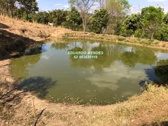 Fazenda / Sítio / Chácara com 3 Quartos à venda, 145200m² no Zona Rural, Gameleira de Goiás - Foto 8