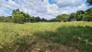 Fazenda / Sítio / Chácara com 2 Quartos à venda, 54250000m² no Zona Rural, Buritizeiro - Foto 19