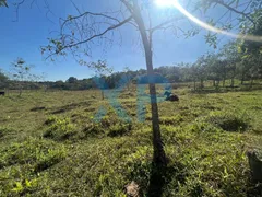 Fazenda / Sítio / Chácara com 3 Quartos à venda, 200m² no Santo Antônio dos Campos, Divinópolis - Foto 54