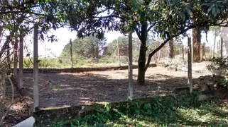 Fazenda / Sítio / Chácara com 3 Quartos à venda, 26600m² no Terra Baixa, Araçariguama - Foto 3
