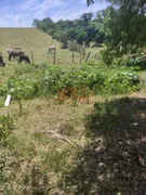 Terreno / Lote / Condomínio à venda, 1000m² no Recanto Campestre Internacional de Viracopos Gleba 4, Indaiatuba - Foto 5