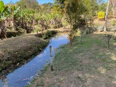 Fazenda / Sítio / Chácara com 2 Quartos à venda, 7000m² no , Coronel Pacheco - Foto 5