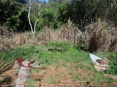 Fazenda / Sítio / Chácara com 2 Quartos à venda, 4400m² no Zona Rural, Mandirituba - Foto 4