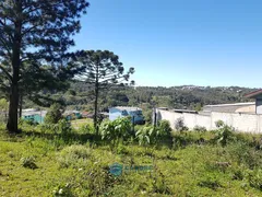 Terreno / Lote / Condomínio à venda, 665m² no Sao Caetano, Caxias do Sul - Foto 8