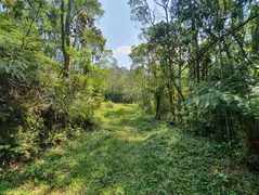 Terreno / Lote / Condomínio à venda, 16280m² no Jardim Planteucal, Ribeirão Pires - Foto 6