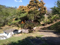 Fazenda / Sítio / Chácara com 3 Quartos à venda, 3800m² no Roseira, Mairiporã - Foto 11