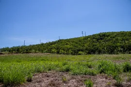 Fazenda / Sítio / Chácara com 2 Quartos à venda, 200m² no Zona Rural, Morungaba - Foto 14