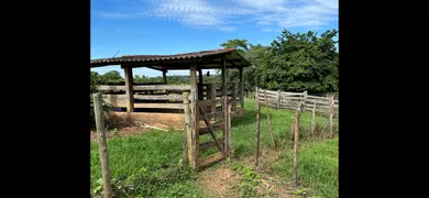 Fazenda / Sítio / Chácara com 3 Quartos à venda, 27000m² no Area Rural de Senador Canedo, Senador Canedo - Foto 11