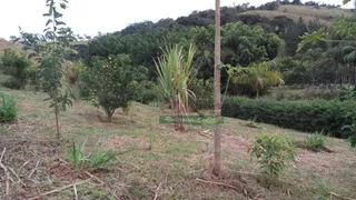 Fazenda / Sítio / Chácara com 2 Quartos à venda, 60500m² no , Cunha - Foto 20