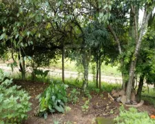 Fazenda / Sítio / Chácara com 3 Quartos à venda, 130m² no Sitios de Recreio Mantiqueira, Caçapava - Foto 12