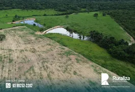 Fazenda / Sítio / Chácara à venda, 145m² no Zona Rural, Goianorte - Foto 9