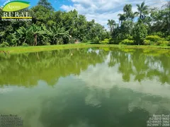 Fazenda / Sítio / Chácara com 2 Quartos à venda, 20000m² no Zona Rural, Bela Vista de Goiás - Foto 3