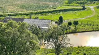 Fazenda / Sítio / Chácara com 3 Quartos à venda, 30000m² no Centro, Leoberto Leal - Foto 29