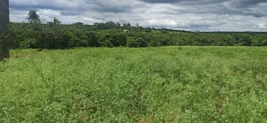 Terreno / Lote / Condomínio à venda, 20000m² no Centro, Jaboticatubas - Foto 8