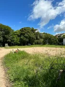 Terreno / Lote / Condomínio à venda, 5000m² no Ipanema, Porto Alegre - Foto 12