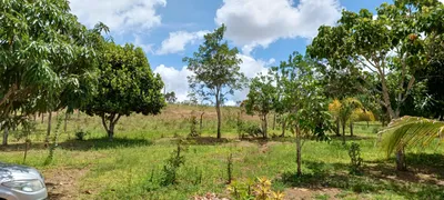 Fazenda / Sítio / Chácara com 4 Quartos à venda, 30000m² no Area Rural do Paranoa, Brasília - Foto 18