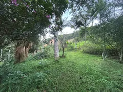 Fazenda / Sítio / Chácara com 3 Quartos à venda, 120m² no Zona Rural, Marechal Floriano - Foto 4