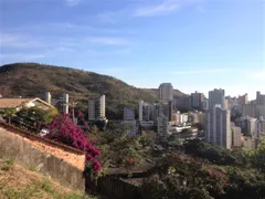 Terreno / Lote / Condomínio à venda, 902m² no Mangabeiras, Belo Horizonte - Foto 1